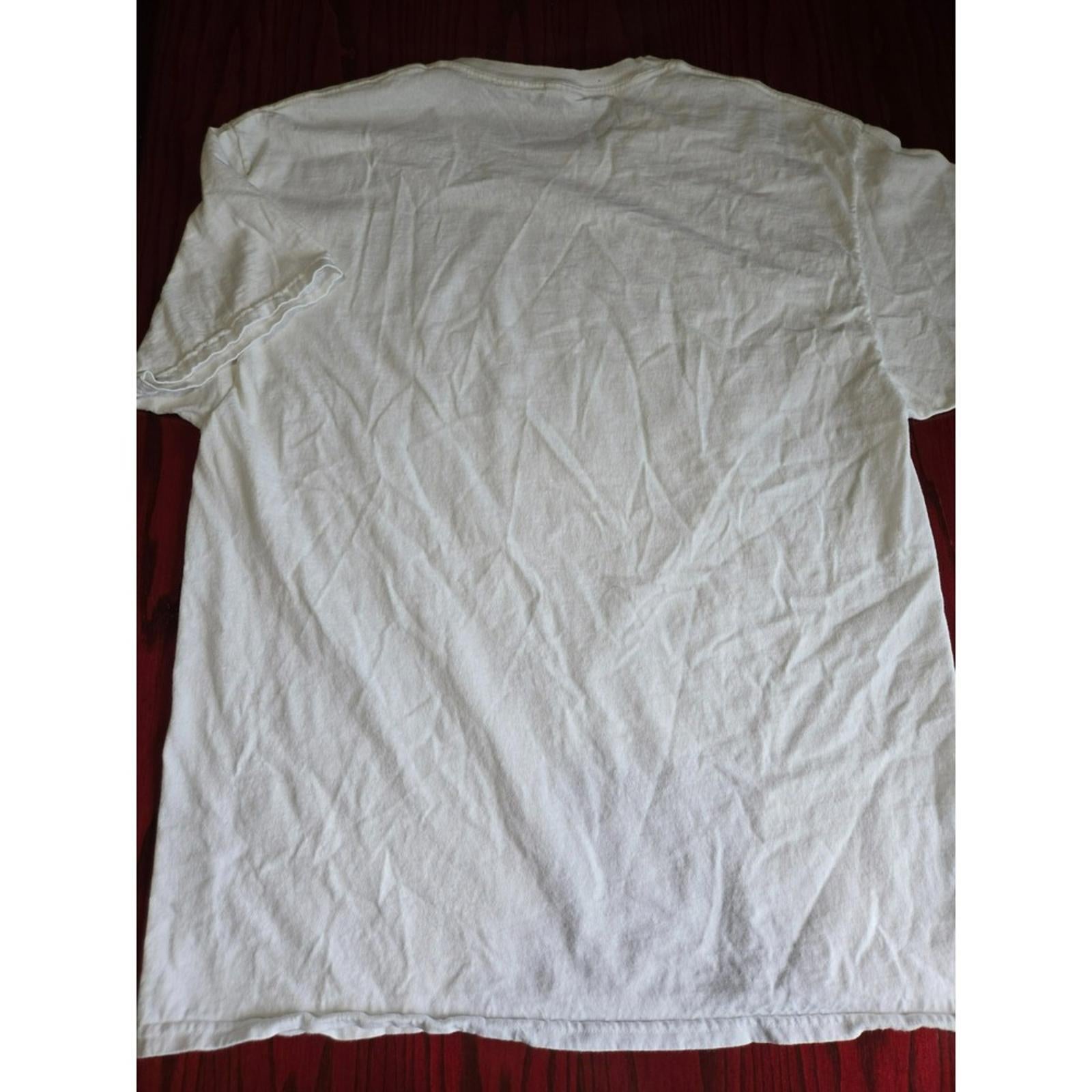 Hanes I Survived The Snap Custom Shirt L White Avengers Tee Used