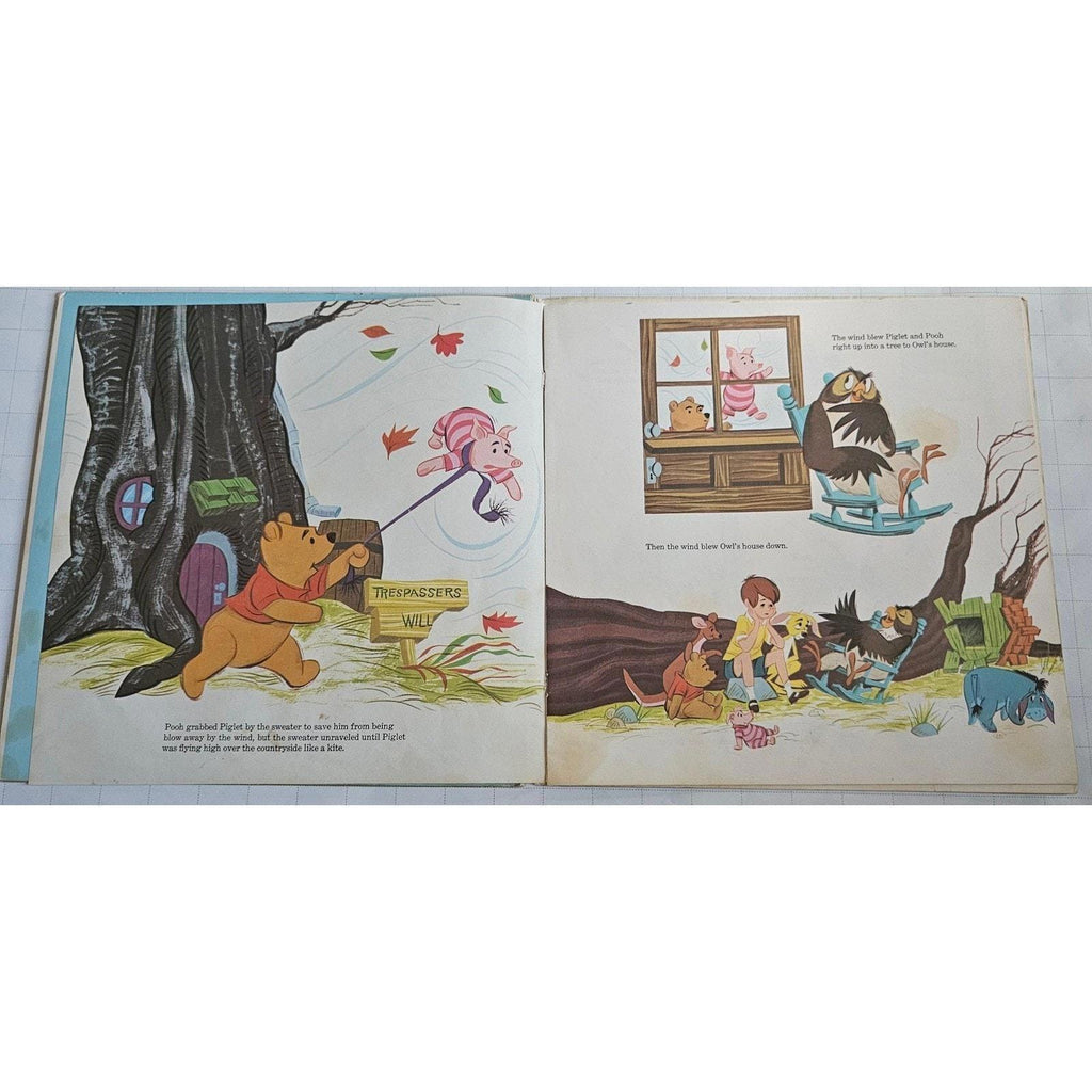 Walt Disney Presents Winnie the Pooh Blustery Day Vinyl Record & Book 3953 - good-g-