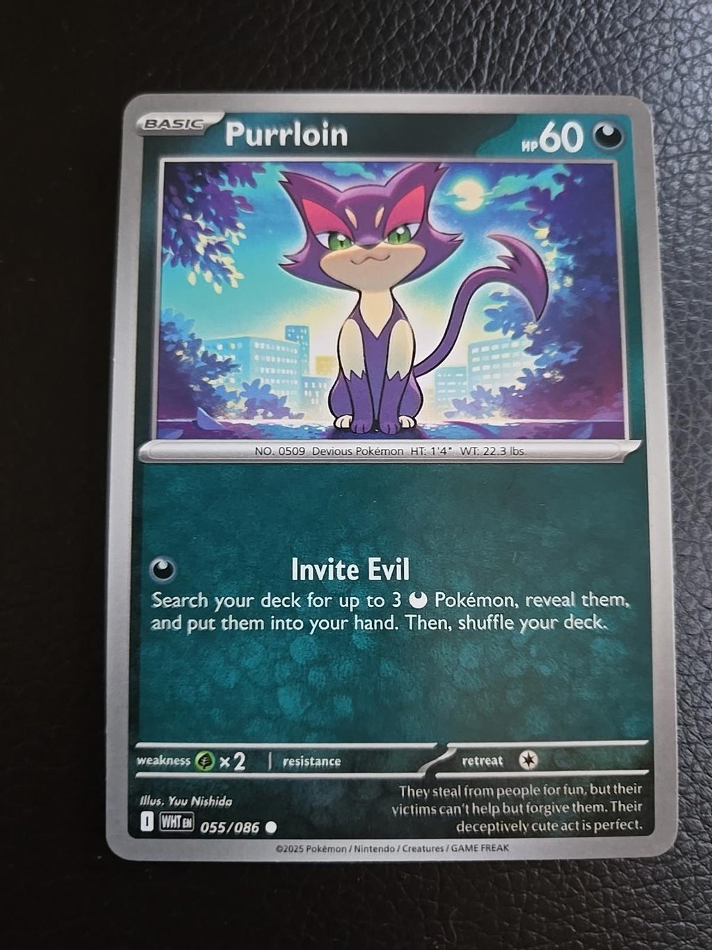 Purrloin - 055/086 - Common - Reverse Holo - Near Mint
